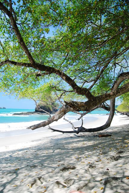 Nationalpark Manuel Antonio