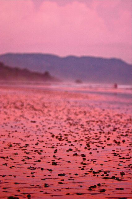 Playa Hermosa Nicoya