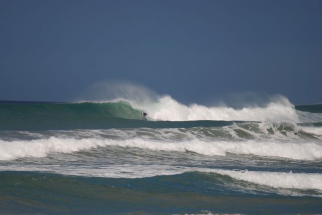 Wellensurfer