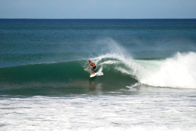 Surfer